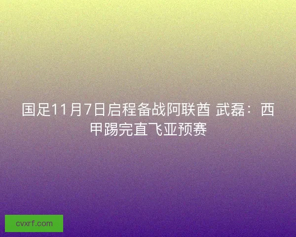 国足11月7日启程备战阿联酋 武磊：西甲踢完直飞亚预赛