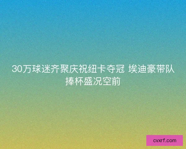 30万球迷齐聚庆祝纽卡夺冠 埃迪豪带队捧杯盛况空前